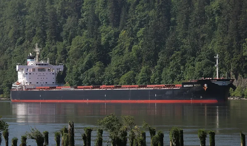 ADRIANA ROSE Bulk Carrier IMO 9727467 photo 3