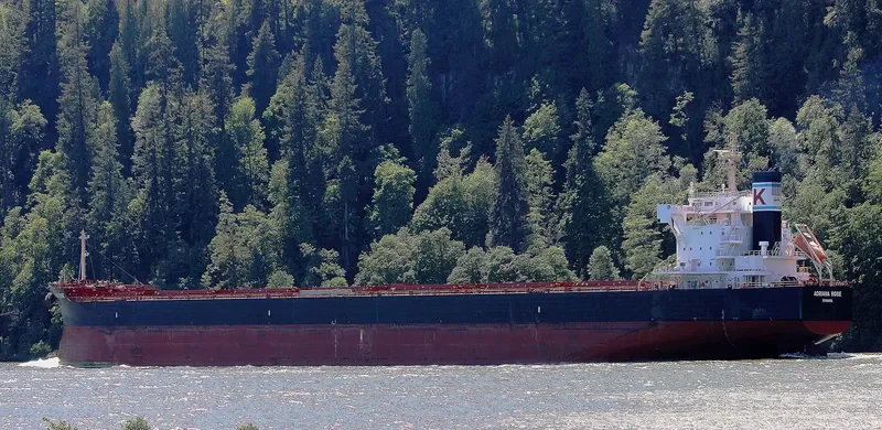 ADRIANA ROSE Bulk Carrier IMO 9727467 photo 4