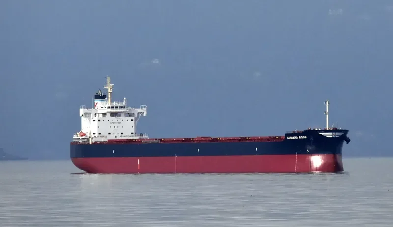 ADRIANA ROSE Bulk Carrier IMO 9727467 photo 6
