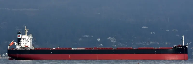 ADRIANA ROSE Bulk Carrier IMO 9727467 photo 7