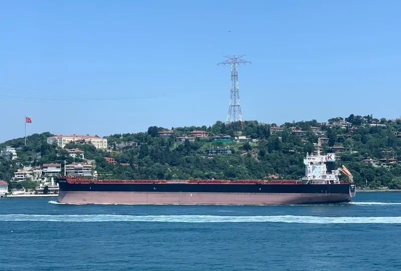 ADRIANA ROSE Bulk Carrier IMO 9727467 photo 8