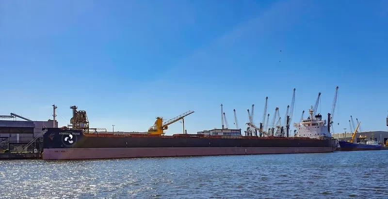 ADRIANA ROSE Bulk Carrier IMO 9727467 photo 10