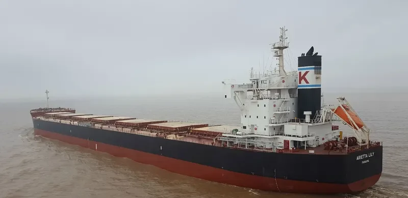ARIETTA LILY Bulk Carrier IMO 9727479
