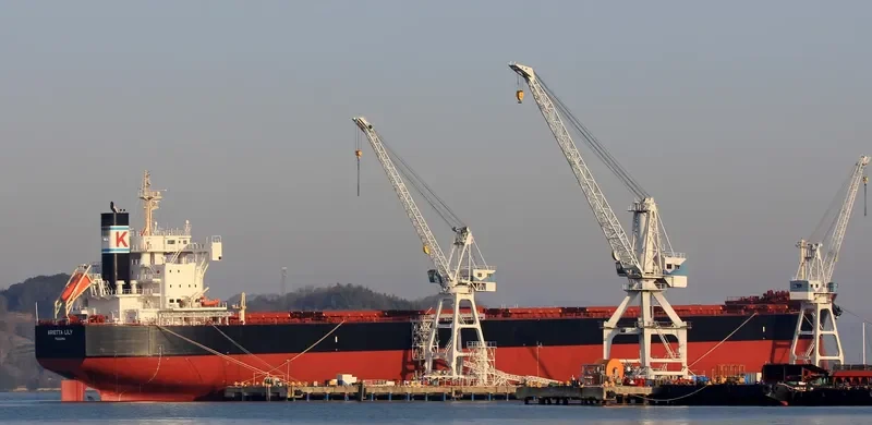 ARIETTA LILY Bulk Carrier IMO 9727479 photo 4