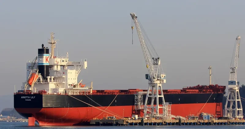 ARIETTA LILY Bulk Carrier IMO 9727479 photo 5