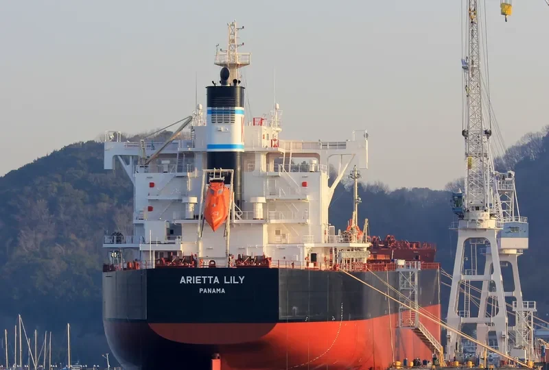 ARIETTA LILY Bulk Carrier IMO 9727479 photo 6