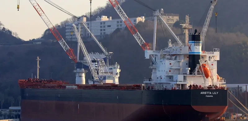 ARIETTA LILY Bulk Carrier IMO 9727479 photo 7