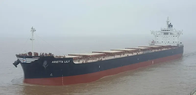 ARIETTA LILY Bulk Carrier IMO 9727479 photo 9