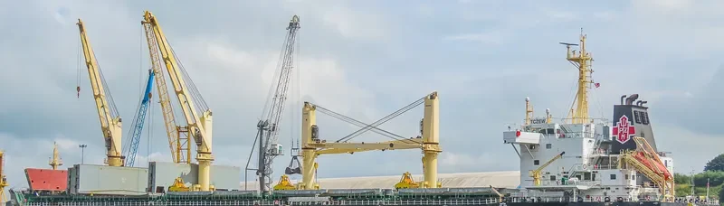 TCZEW Bulk Carrier IMO 9727493 photo 35