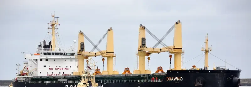 DRAWNO Bulk Carrier IMO 9727508 photo 7