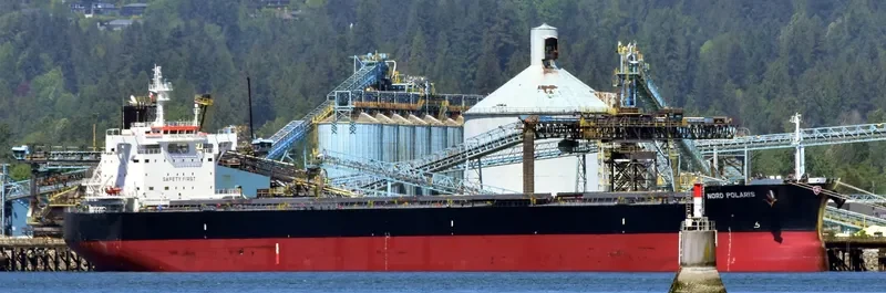 NORD POLARIS Bulk Carrier IMO 9728198 photo 4