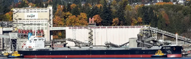 AOM BIANCA Bulk Carrier IMO 9728215
