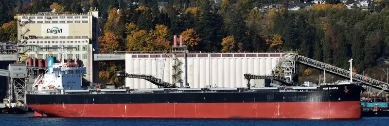 AOM BIANCA Bulk Carrier IMO 9728215 photo 4