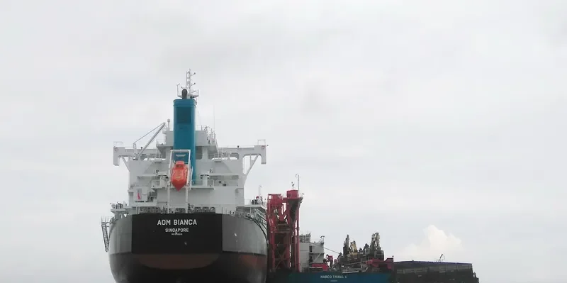 AOM BIANCA Bulk Carrier IMO 9728215 photo 7