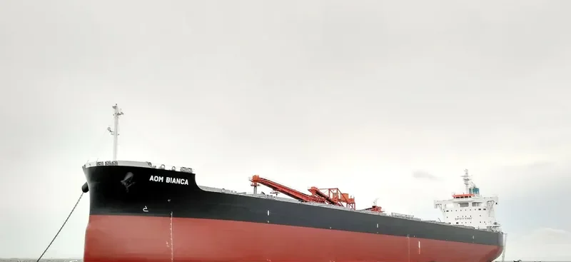 AOM BIANCA Bulk Carrier IMO 9728215 photo 8