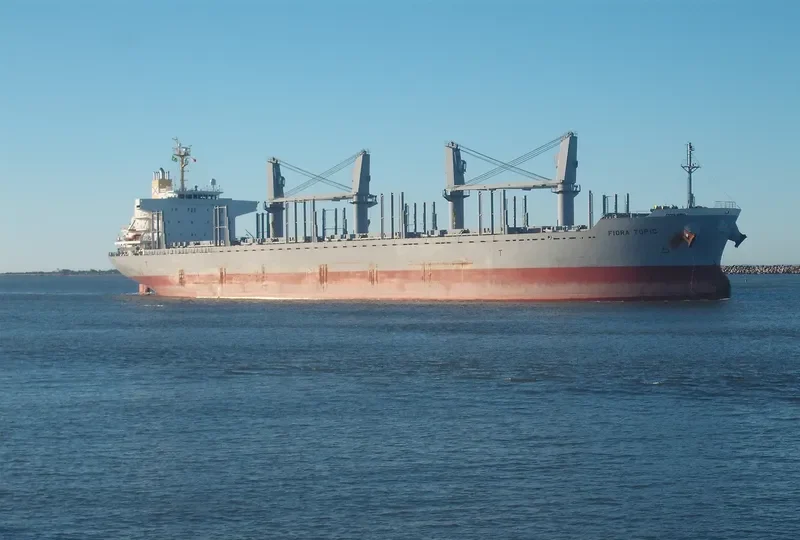 FIORA TOPIC Bulk Carrier IMO 9728461 photo 4