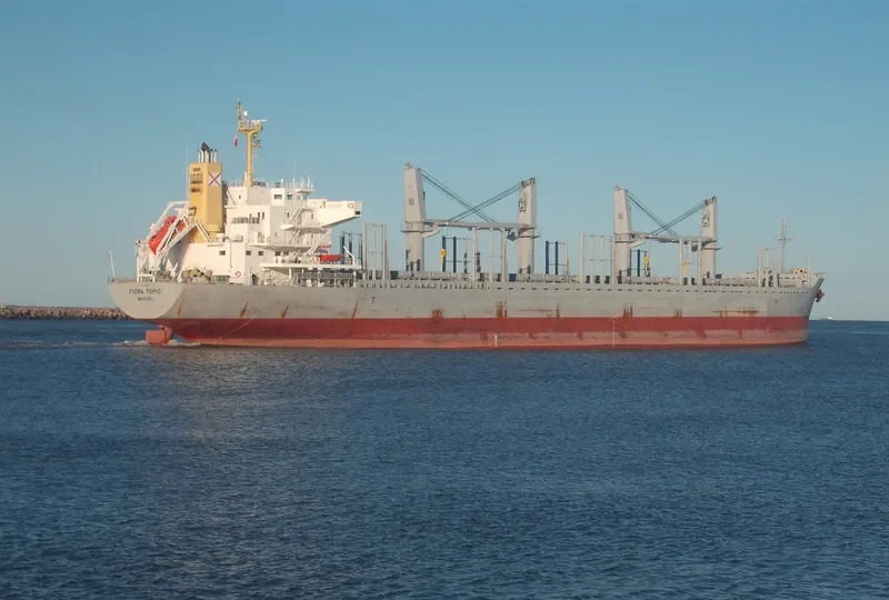 FIORA TOPIC Bulk Carrier IMO 9728461 photo 6