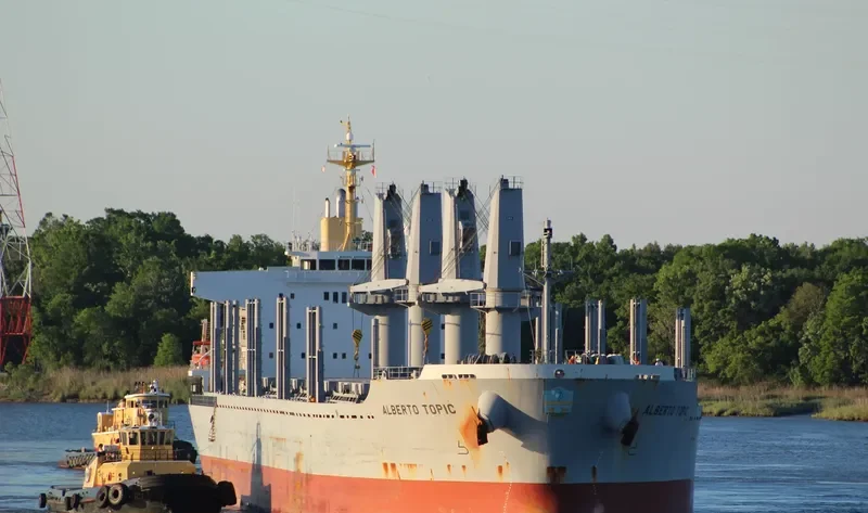 ALBERTO TOPIC Bulk Carrier IMO 9728473 photo 8