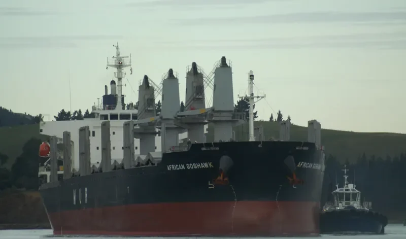 AFRICAN GOSHAWK Bulk Carrier IMO 9728485 photo 5