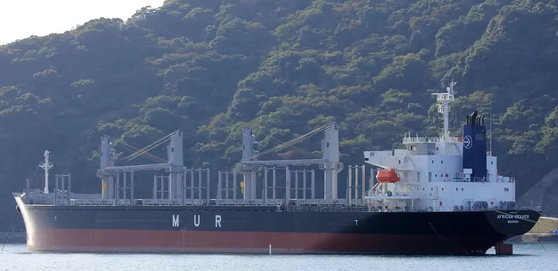 AFRICAN WEAVER Bulk Carrier IMO 9728497