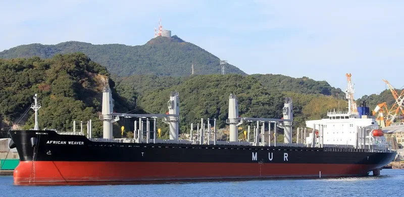 AFRICAN WEAVER Bulk Carrier IMO 9728497 photo 2