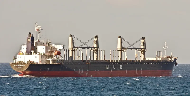 AFRICAN WEAVER Bulk Carrier IMO 9728497 photo 6