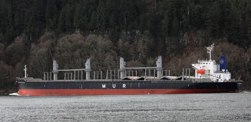 AFRICAN WEAVER Bulk Carrier IMO 9728497 photo 8