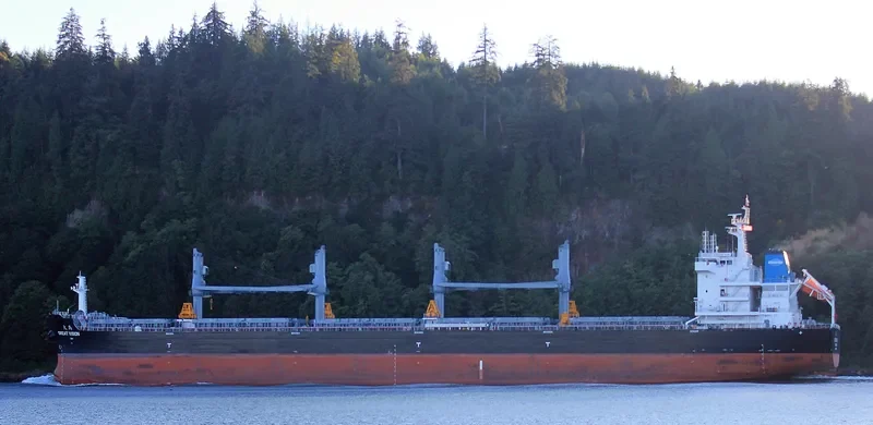 GREAT VISION Bulk Carrier IMO 9728681 photo 4
