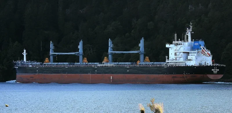GREAT VISION Bulk Carrier IMO 9728681 photo 6