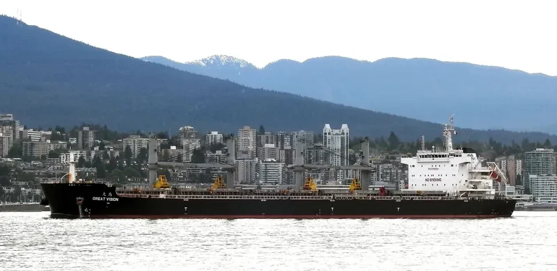 GREAT VISION Bulk Carrier IMO 9728681 photo 10