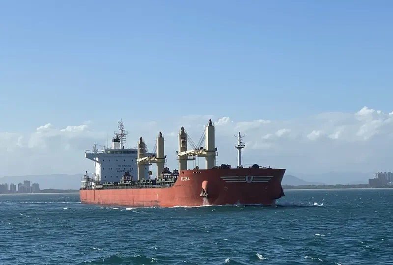 ALORA Bulk Carrier IMO 9729025 photo 2