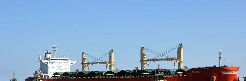 ALORA Bulk Carrier IMO 9729025 photo 3