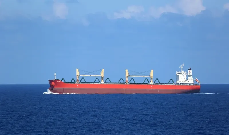 ALORA Bulk Carrier IMO 9729025 photo 7