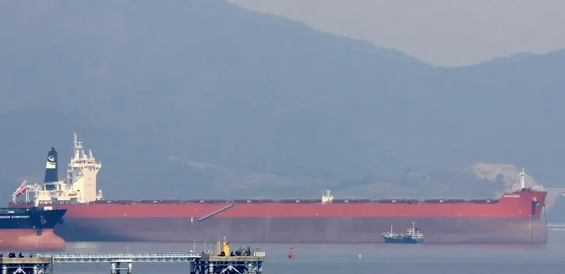 BUCCLEUCH Bulk Carrier IMO 9729192