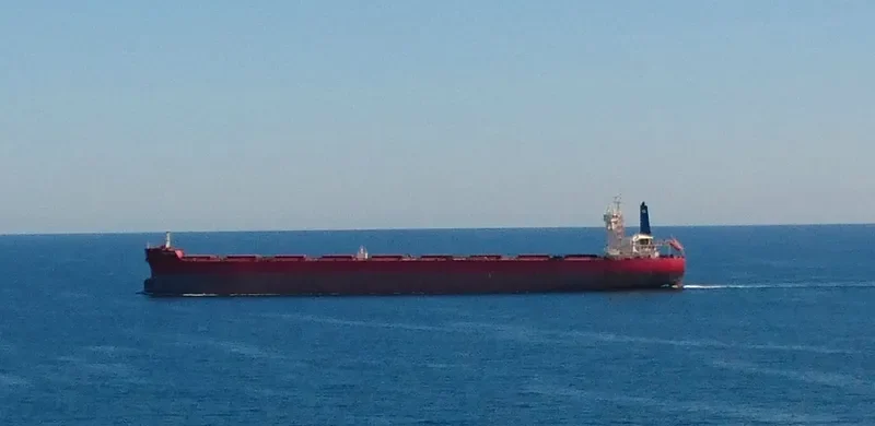 BUCCLEUCH Bulk Carrier IMO 9729192 photo 3