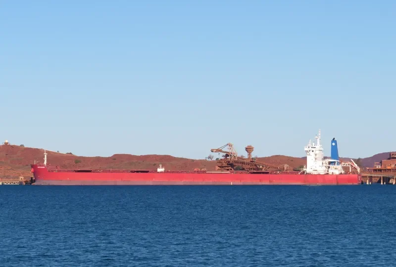 BUCCLEUCH Bulk Carrier IMO 9729192 photo 6
