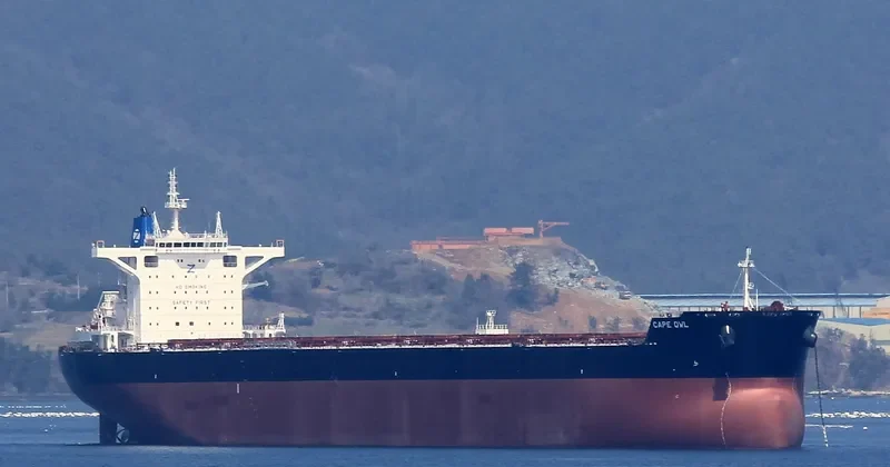 CAPE OWL Bulk Carrier IMO 9729219