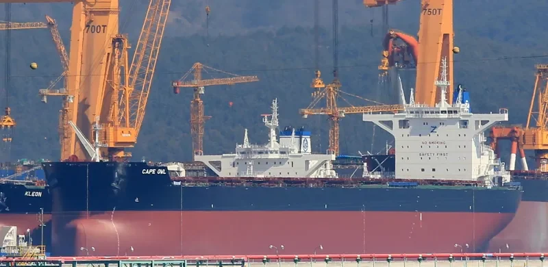 CAPE OWL Bulk Carrier IMO 9729219 photo 2