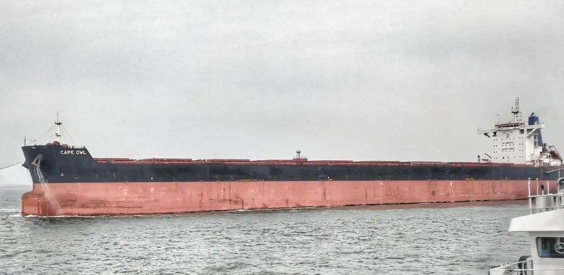 CAPE OWL Bulk Carrier IMO 9729219 photo 5