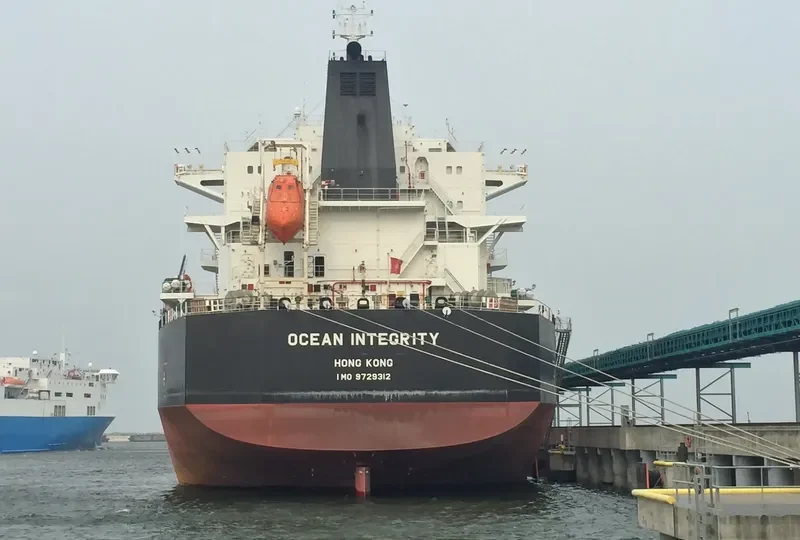 OCEAN SAGA Bulk Carrier IMO 9729312 photo 3