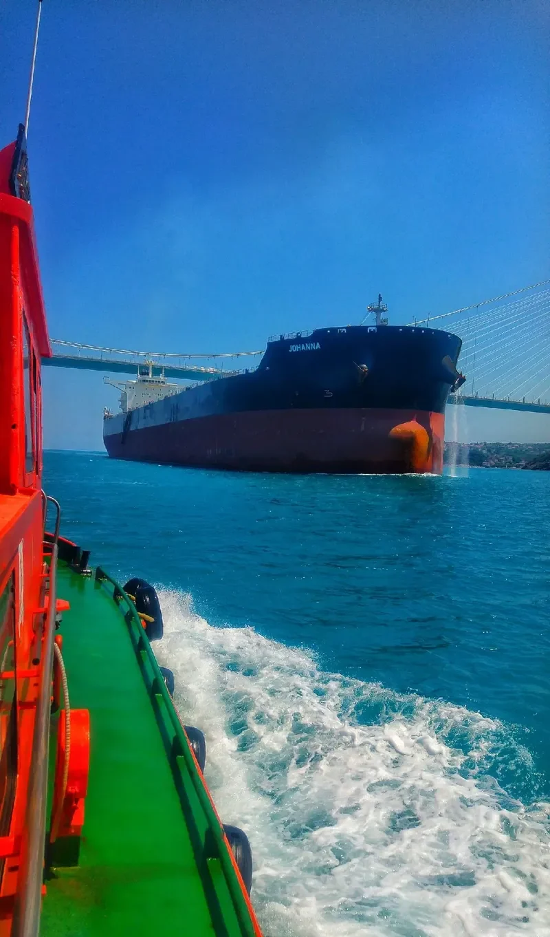 JOHANNA Bulk Carrier IMO 9730397 photo 4