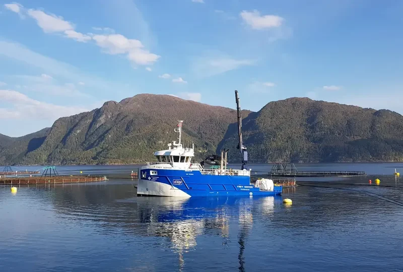 FROY SERVER General Cargo IMO 9730713 photo 3