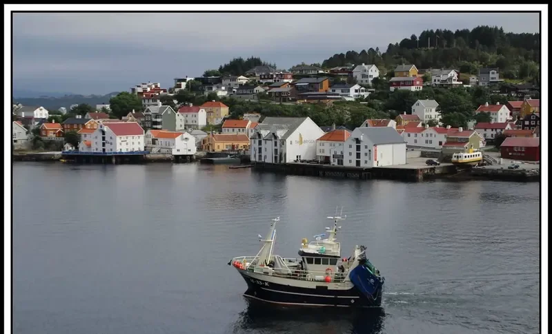 PAULINE General Cargo IMO 9730725 photo 3