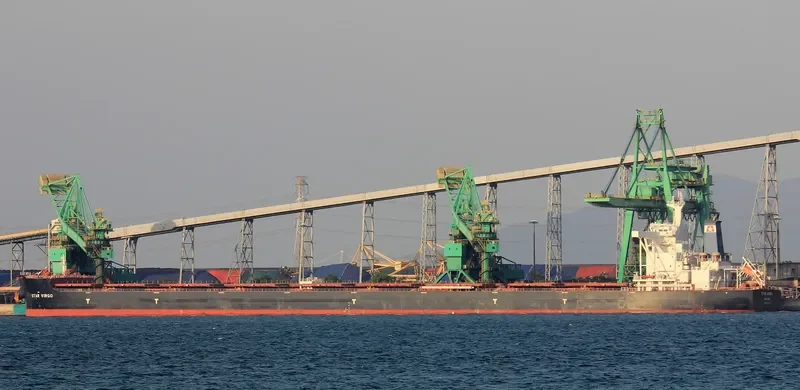 STAR VIRGO Bulk Carrier IMO 9731432