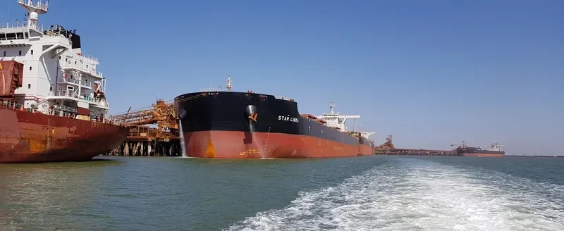 STAR LIBRA Bulk Carrier IMO 9731444