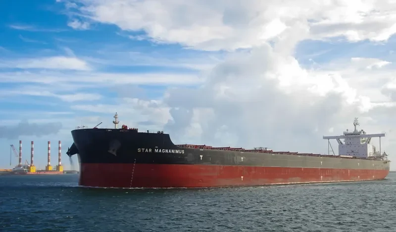 STAR MAGNANIMUS Bulk Carrier IMO 9731470 photo 4
