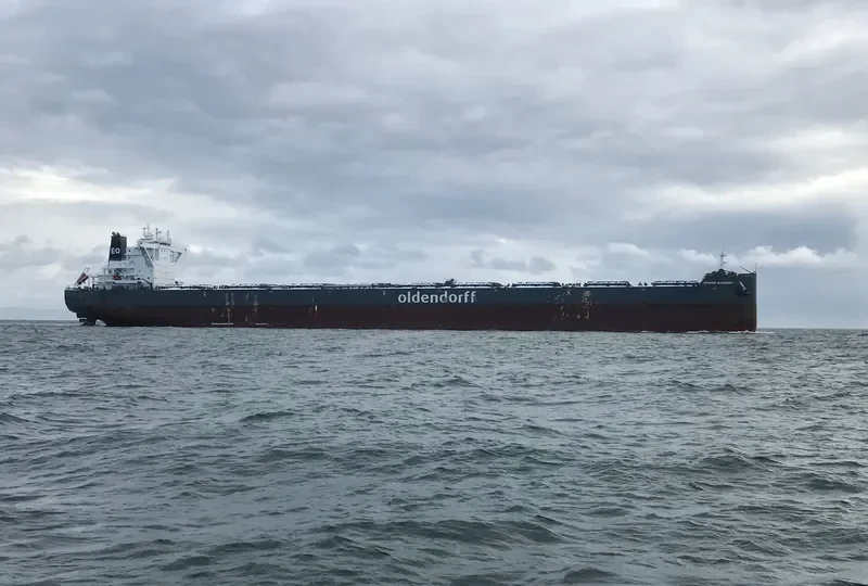 HERMANN OLDENDORFF Bulk Carrier IMO 9731585 photo 31