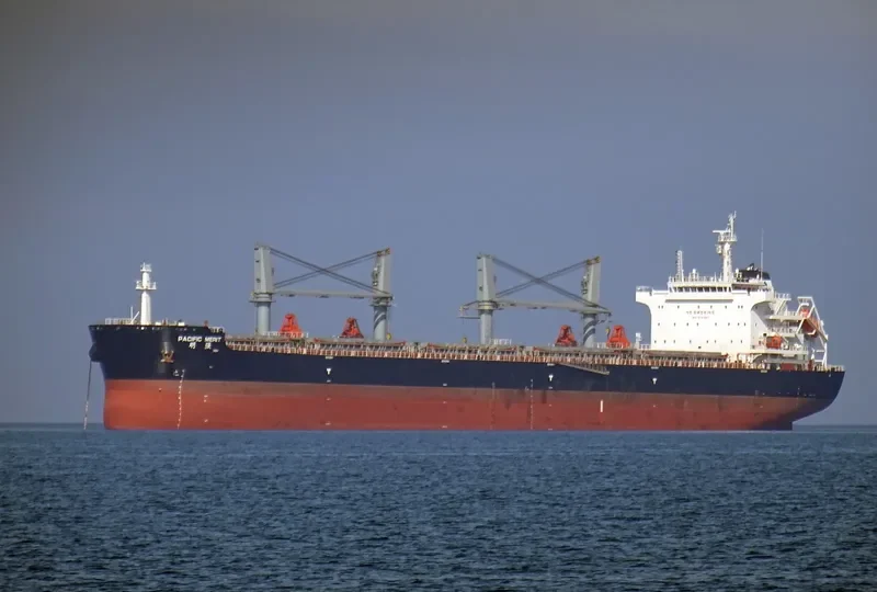 PACIFIC MERIT Bulk Carrier IMO 9731987 photo 4