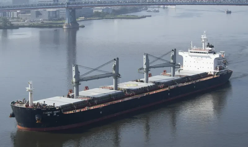 PACIFIC MERIT Bulk Carrier IMO 9731987 photo 6