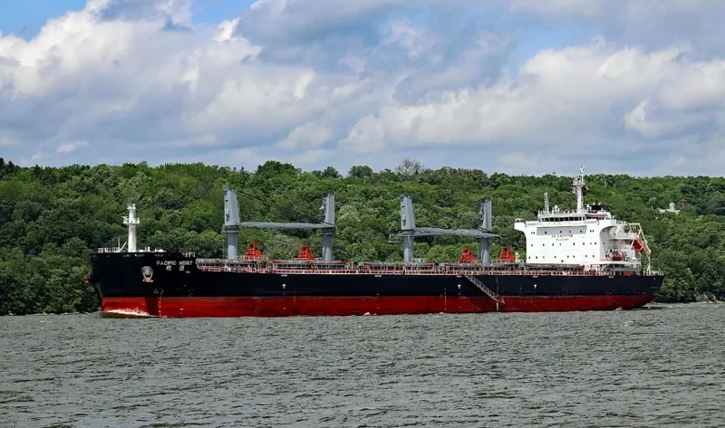 PACIFIC MERIT Bulk Carrier IMO 9731987 photo 9